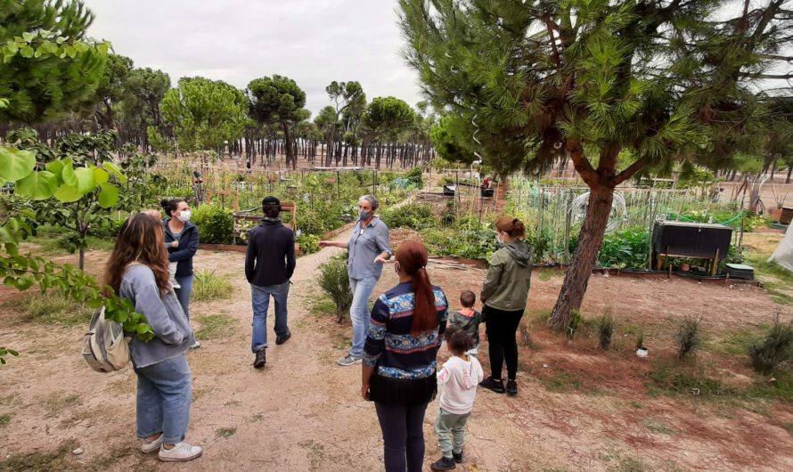 El huerto en otoño. Septiembre 2021