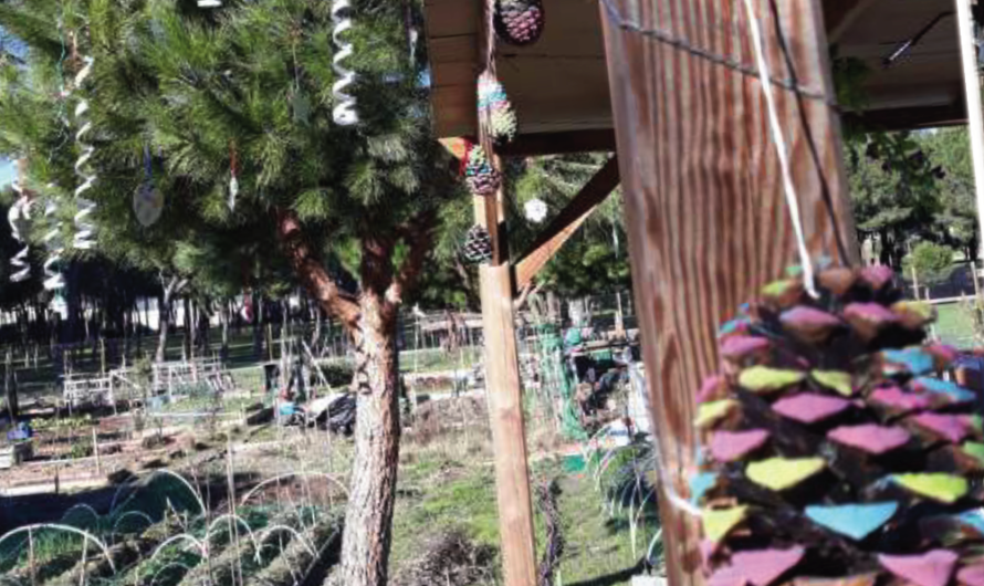 Taller de decoración navideña en Huerto Pinar